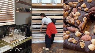 [VLOG] DIY Renovation Part 2: Earthquake Proofing, Framing / Making Brownies / Cafe