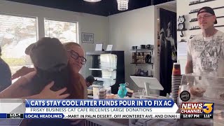 Frisky Business cat cafe receives donations to fix AC
