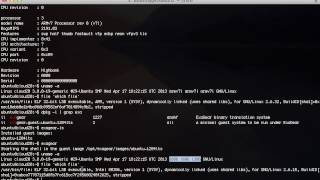 Running x86 applications on ARM using Eltechs ExaGear