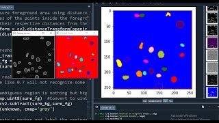 Instance Segmentation using watershed in python | computer vision شرح عربي