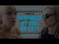 How Do I Know if it is Time to Euthanize my Dog or Cat?: Vlog 102