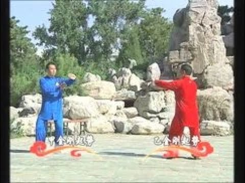 张东武、黄康辉陈式四段对练套路讲解