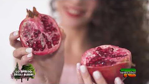 Quanto costa un albero di melograno?
