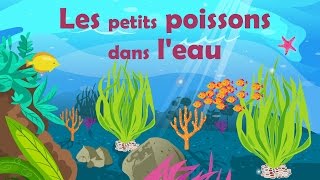 Les petits poissons dans l'eau - Comptine avec gestes pour enfants et bébés (avec les paroles)