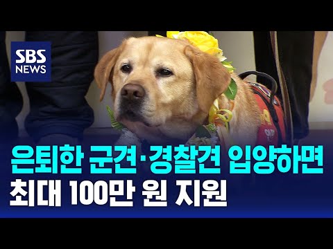 은퇴한 군견·경찰견 입양 시 최대 100만 원 지원 / SBS / 경제365