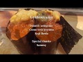 牛幸山「孤独のヒカリ」