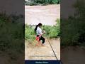 Zipline Transportation | Farmers’ Way of Travel | Incredible Tool #amazing #farmer