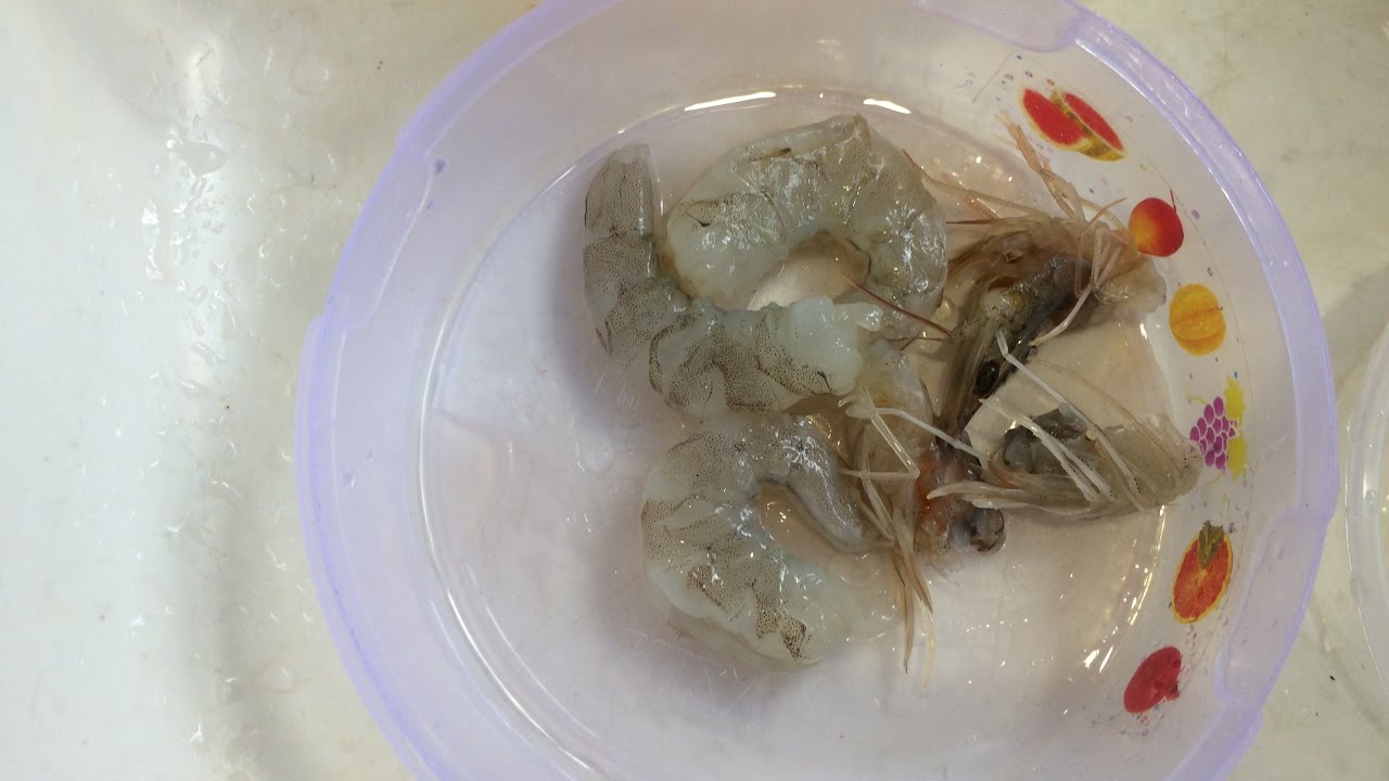 How to Clean Shrimp YouTube