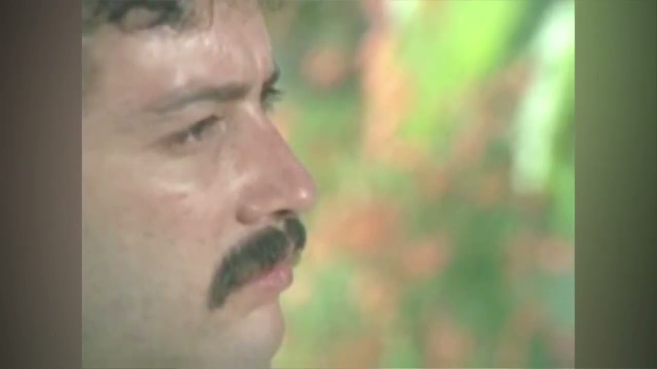 Los Tigres Del Norte   -  La Mesera Extend HD