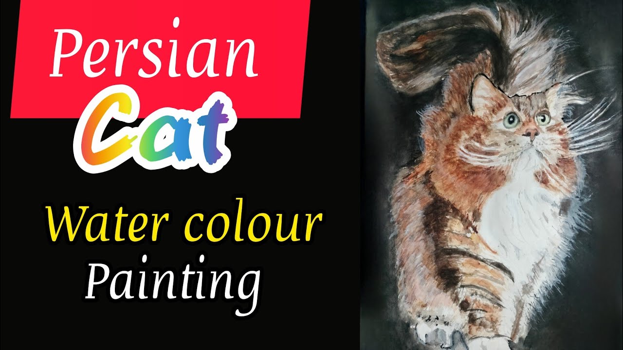Persian cat water colour painting gk 