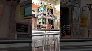 ayodhya dham entry #song #pks789