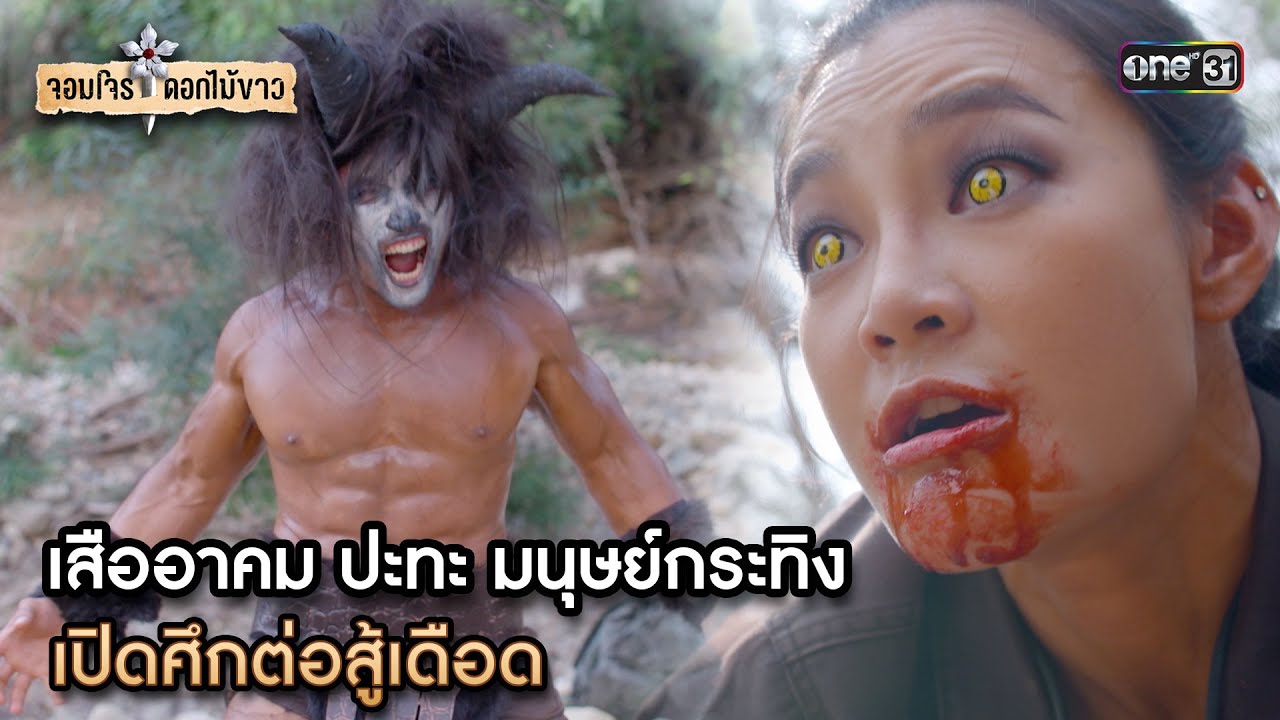 เสืออาคม ปะทะ มนุษย์กระทิง เปิดศึกต่อสู้เดือด | Highlight จอมโจรดอกไม้ขาว oneมาราธอน | one31