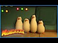 The penguins are unimpressed | DreamWorks Madagascar