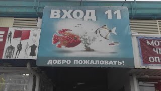 :     15.01.2023  