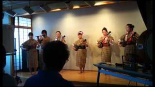 20110424-1-small-wide.flv