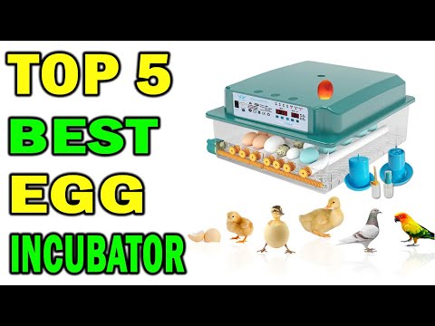 Top 5 Best Egg Incubator In 2021