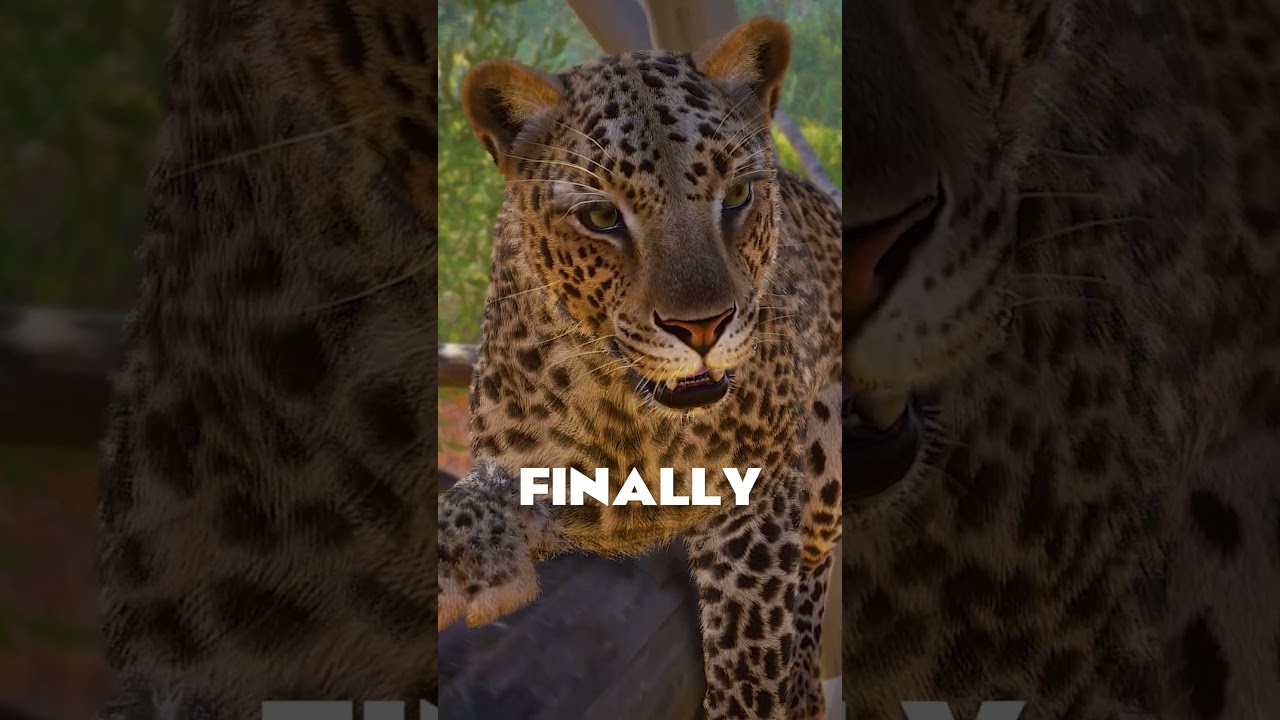 🐆 Frontier FINALLY UPDATED the African Leopard! | 
