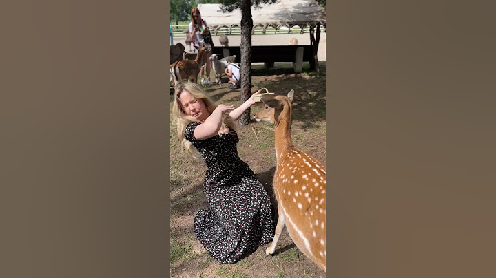 Deer Spits in Woman's Face || ViralHog