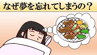 なぜ人は夢を忘れるの？【覚えていない理由】