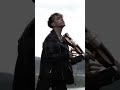 Rammstein - Sonne - Zotov violin