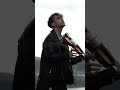 Rammstein Sonne Zotov Violin