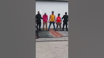 Colombiaanse politie vindt 1.000 gesmokkelde reptielen | AJ #shorts