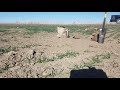 Coyote Trapping Strategies and Sets