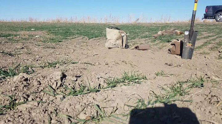 Coyote Trapping Strategies and Sets