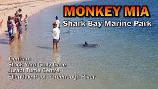 Exmouth, Monkey mia, Denham, Jurien Bay, Stock Yard Gully Cave - 014
