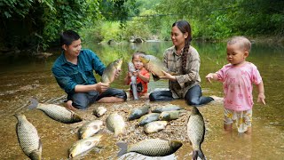 How to catch fish by hand - Harvesting giant fish to sell at the market.