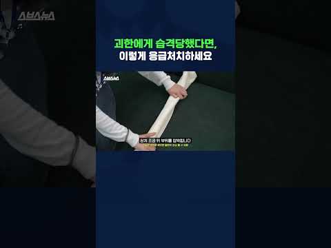 무차별 흉기 난동 <strong>대처방법</strong>, 5분 정리해드립니다. #shorts / 스브스뉴스