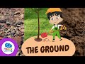 Understanding the Ground and Its Importance