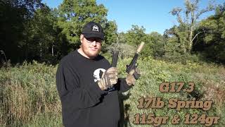 Glock 17 and Banish 9K 