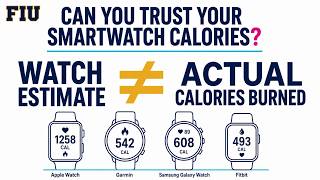 How Accurate Are Smartwatch Calories FIU Tests Apple, Garmin, Samsung & Fitbit