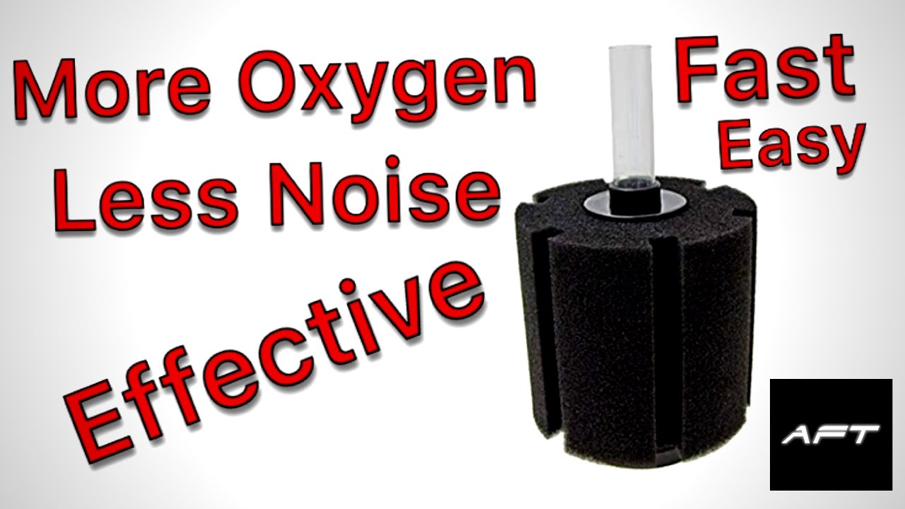 Sponge Filter Modification More Oxygen/Less Noise.. - Youtube