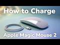 How to Charge Apple Magic Mouse 2 step by step