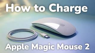 How to Charge Apple Magic Mouse 2 step by step