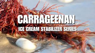 What is Carrageenan The Ice Cream Stabilizers Series
