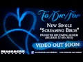 TO/DIE/FOR - Screaming Birds (Song Stream)