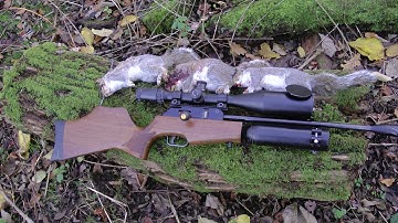 Pest Control with Air Rifles - Squirrel Shooting - My Rapid is Back!