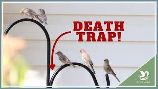 BIRD DANGER: 2-Sided Shepherds Hooks