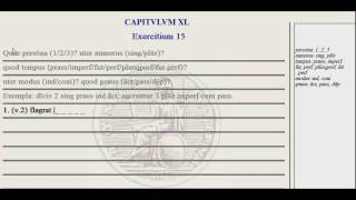Lingua - 40.G - Exercise Tutorial