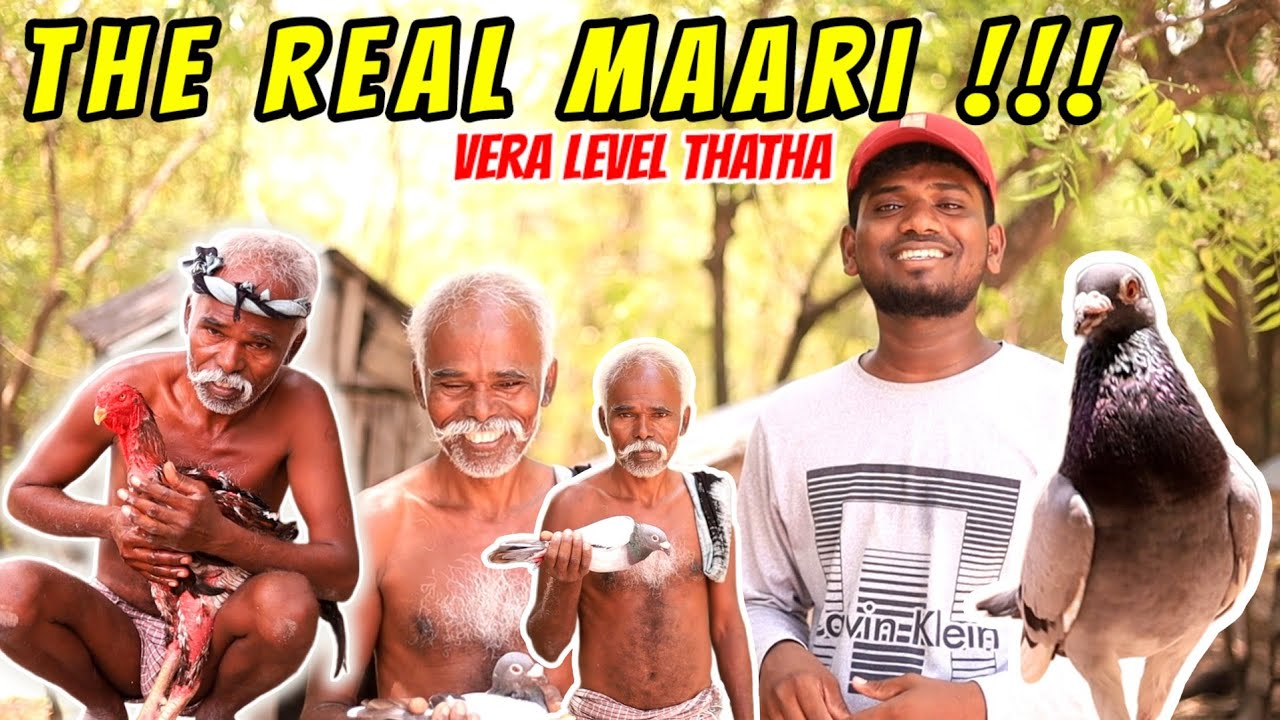 🕊️" Real Life Maari " நல்லாள் தாத்தா Loft Visit | கல்யாணம் பண்ணல ஆனாலும் புறா வளர்ப்பேன் 💥