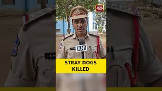 #telangana #dog #killed #Hanamkonda 300 Stray Dogs Killed in Telangana | Animal Cruelty | Mass Kill