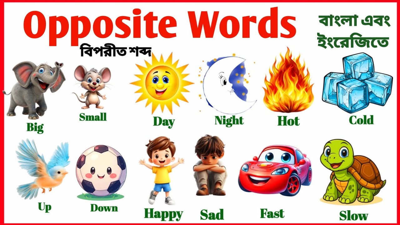 Opposite Words | বিপরীত শব্দ | opposite Words Bengali and English | learning opposite Words for kids