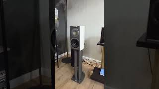 Hegel H120 + Audiovector R1 Arrete #hifi_ua #hifi @borzenkov #gatoaudio #stereo