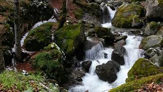 Romantic Relaxing Saxophone Music- Best Saxophone Instrumental Love Songs- Soft nature beauty Music| screenshot 5