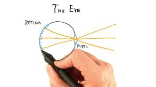 The Eye - Interactive 3D Graphics