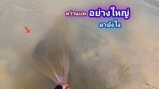 หว่านเเห ริมหนอง หาหอยจุ๊บใหญ่ เเต่ปลาใหญ่ดันเข้า / บ้านนอก EP.1,044