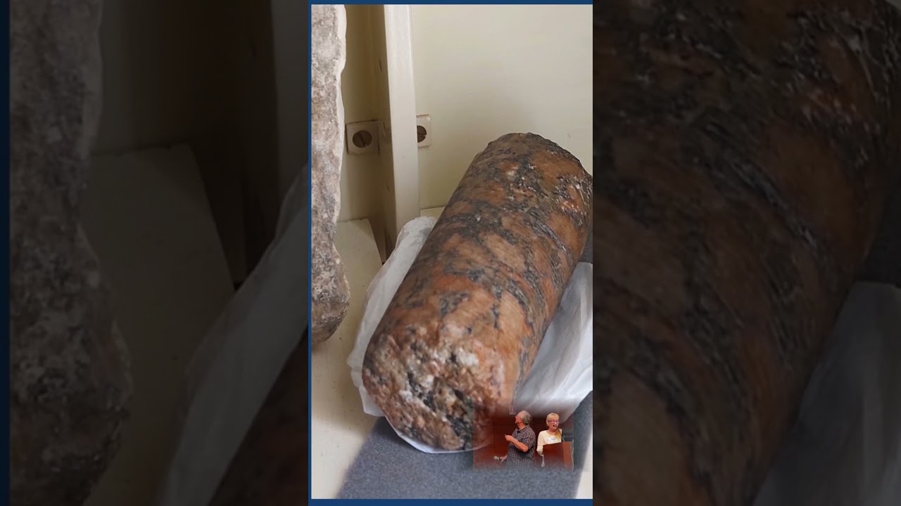 Conoscenze dimenticate